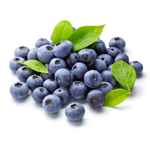 Giant Blueberry Fruit Seeds 🫐 Save 50% + Free Plant Growth Supplement