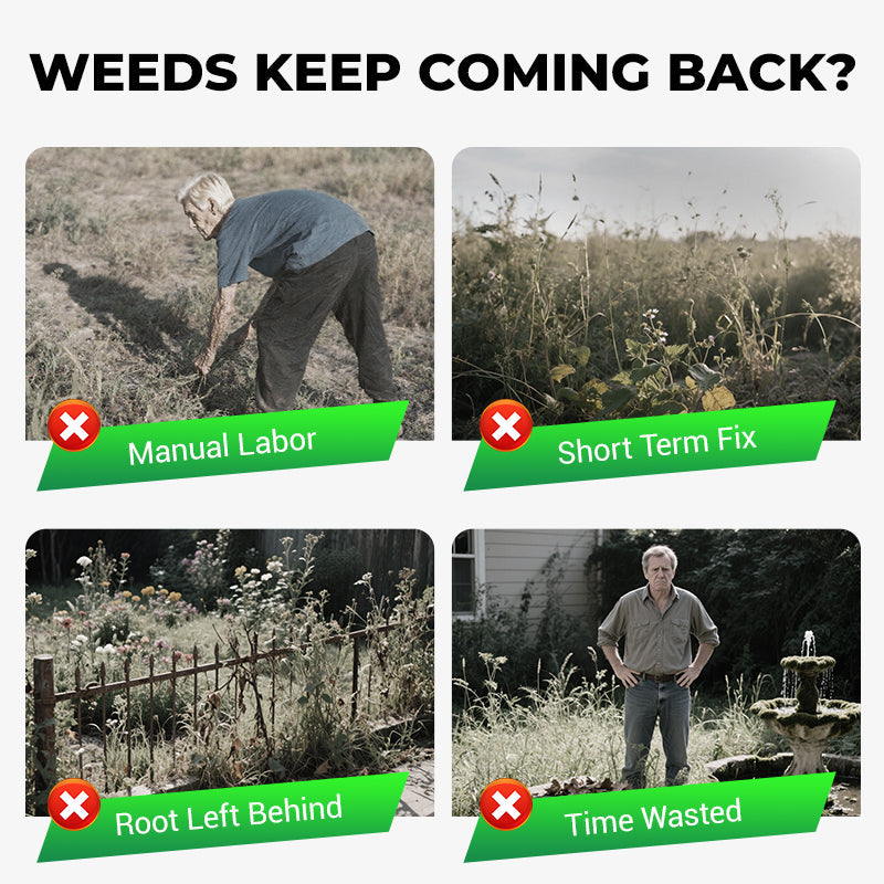 Cyclosinone Herbicide Granules + FREE Plant Growth Supplements 🔥 Buy 1 Get 1 Free