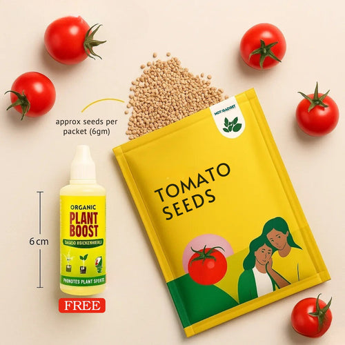 Dwarf Tomato Seeds | 🍅 Flat 50% Saving 🍅 | FREE Plant Growth Supplement Included