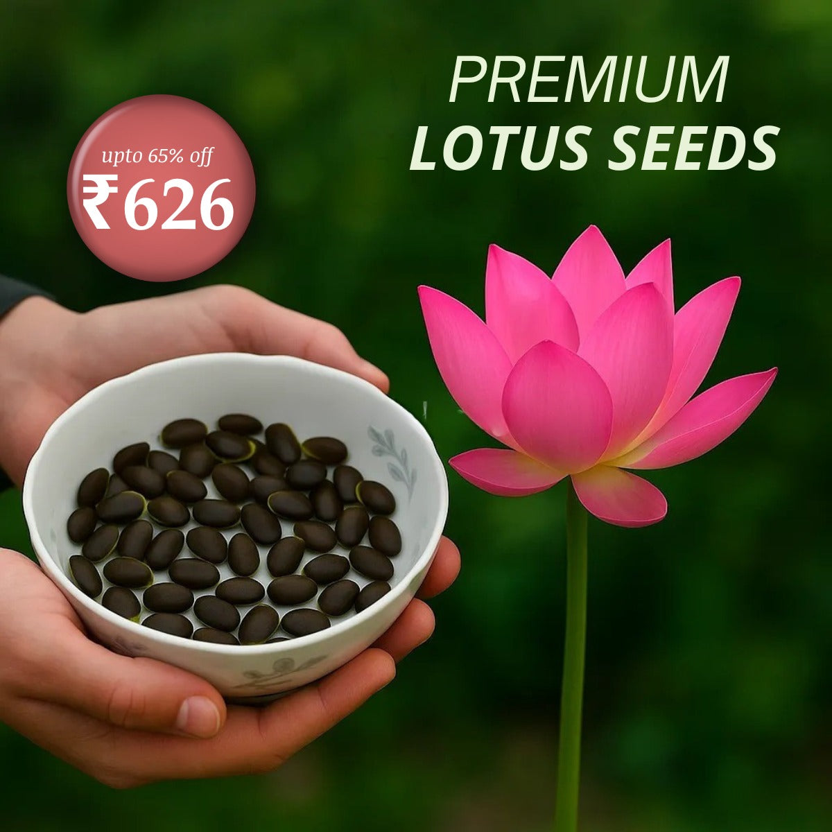Get Premium Lotus Seeds Now—Flat 50% OFF + Bonus Plant Growth Supplement