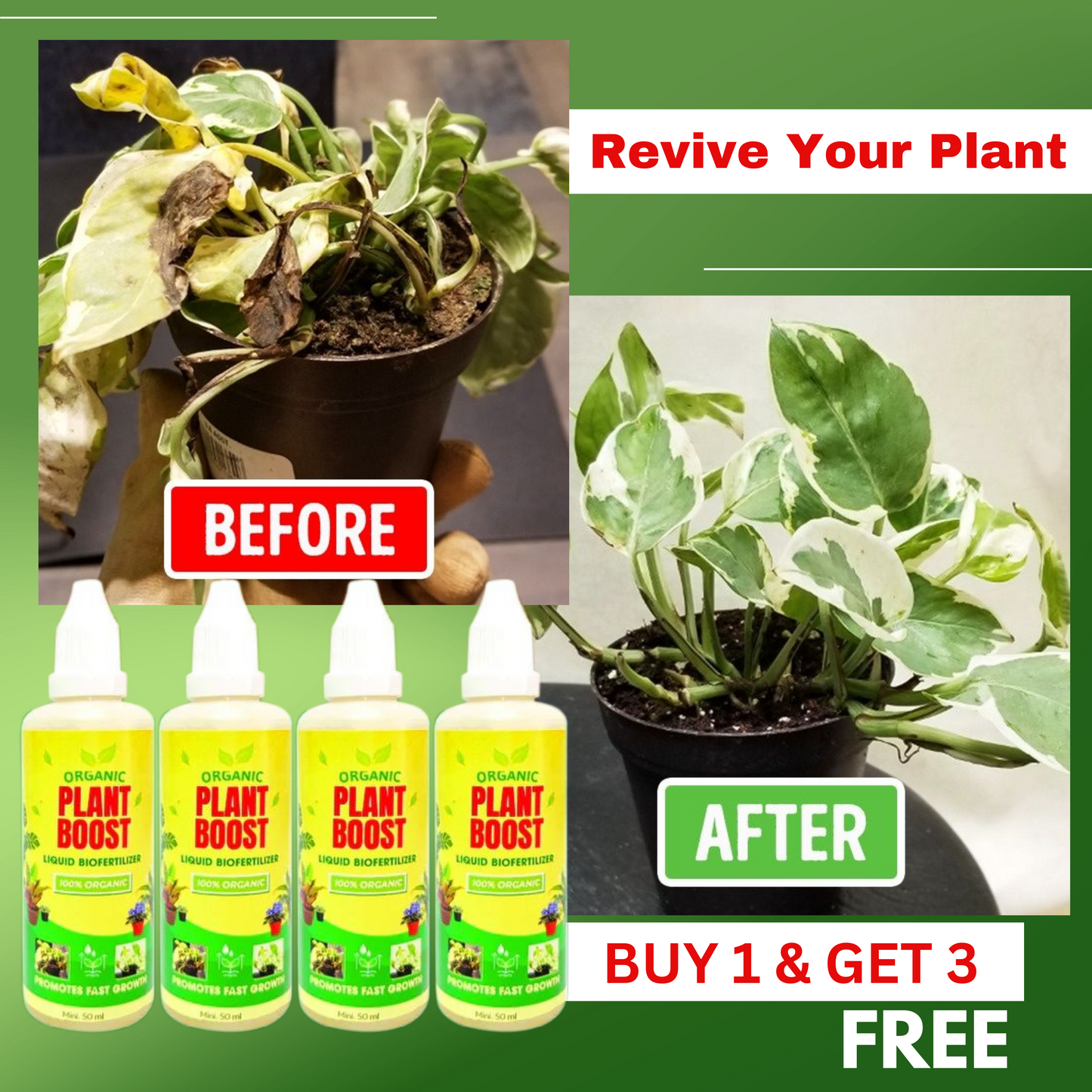 (PACK OF 4) Organic Plant Boost Liquid Bio fertilizer