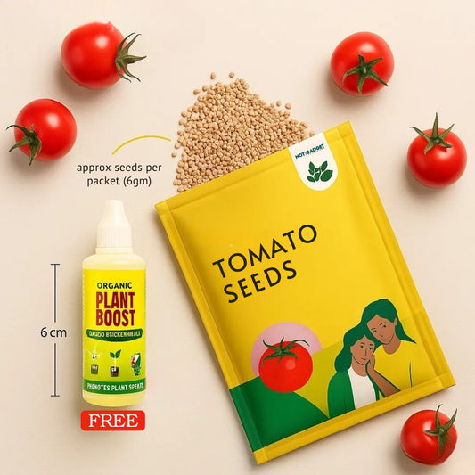 Dwarf Tomato Seeds | 🍅 Flat 50% Saving 🍅 | FREE Plant Growth Supplement Included