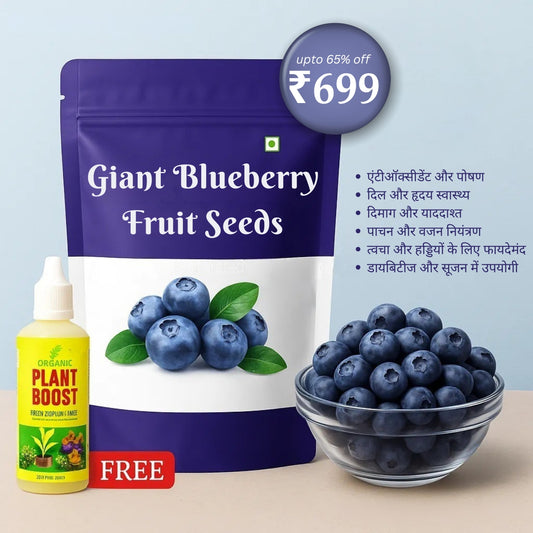Giant Blueberry Fruit Seeds 🫐 Save 50% + Free Plant Growth Supplement