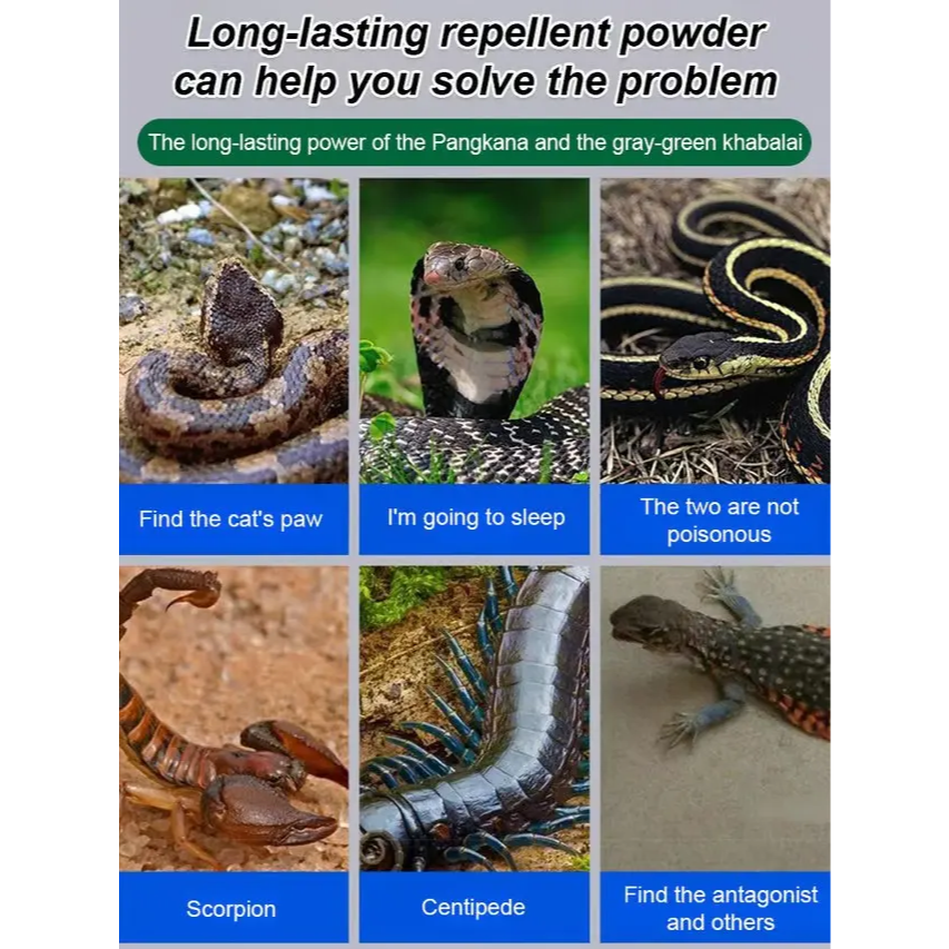 🔥Hot Sale 60% Off-Drive Snake Powerful Repellent | Buy 1 Get 1 FREE 🔥