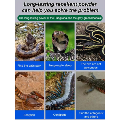 🔥Hot Sale 60% Off-Drive Snake Powerful Repellent | Buy 1 Get 1 FREE 🔥